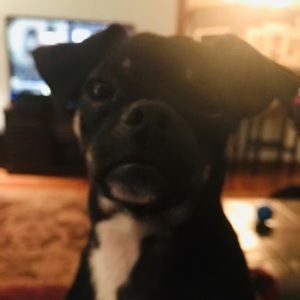 Meet your Posher, Joan